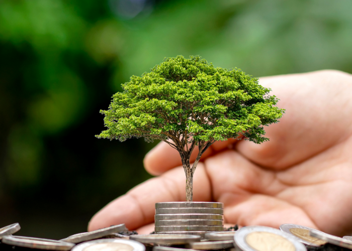 Économie régénératrice par Des Enjeux et des Hommes